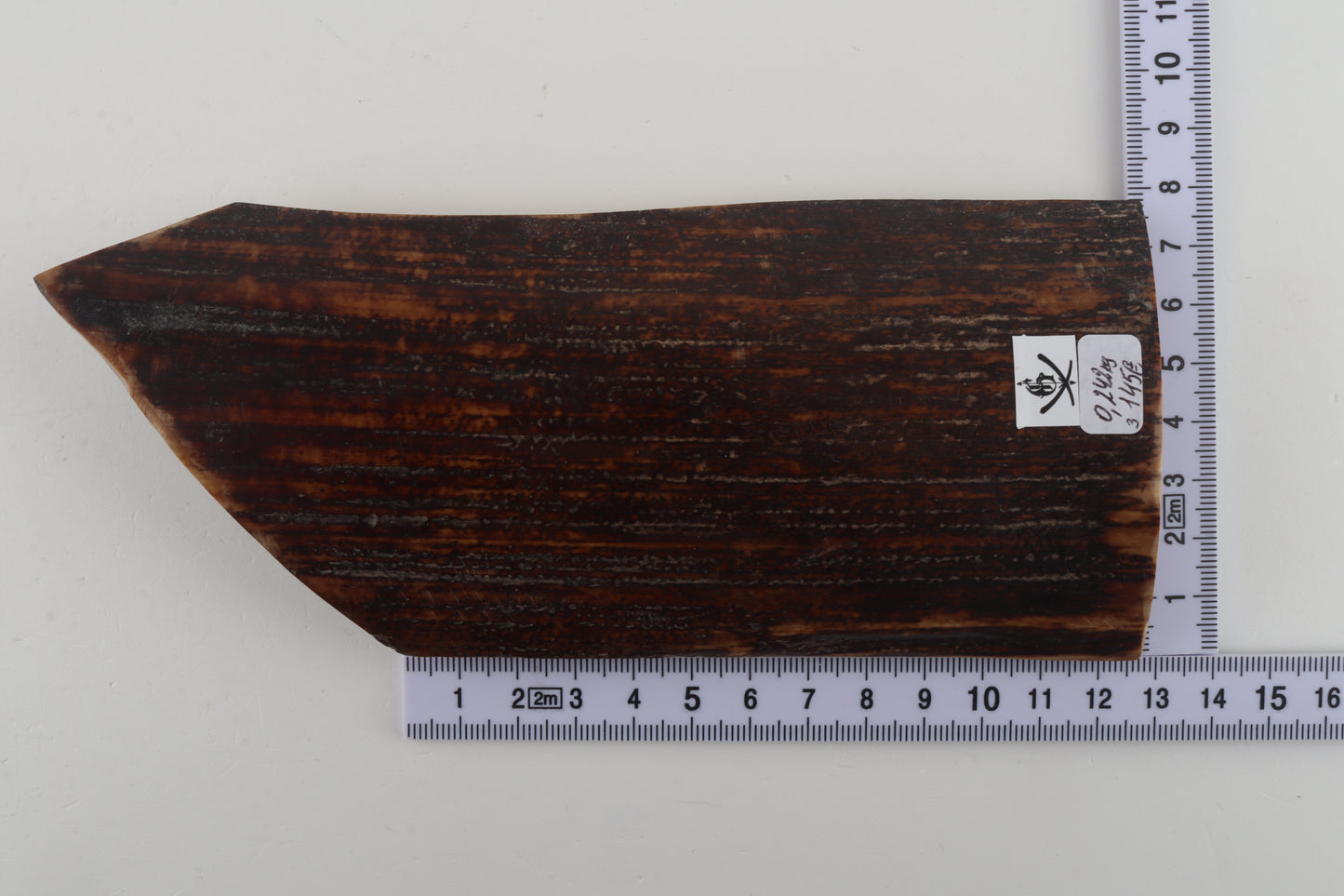 Brown-red mammoth bark