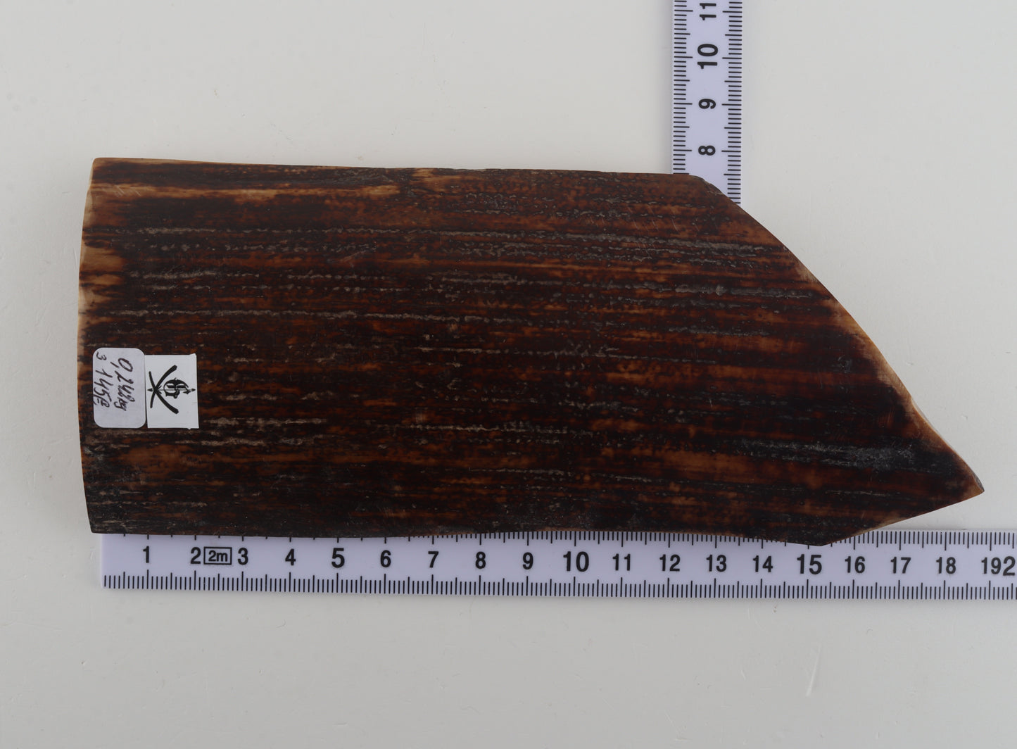 Brown-red mammoth bark