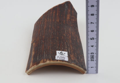 Brown-red mammoth bark