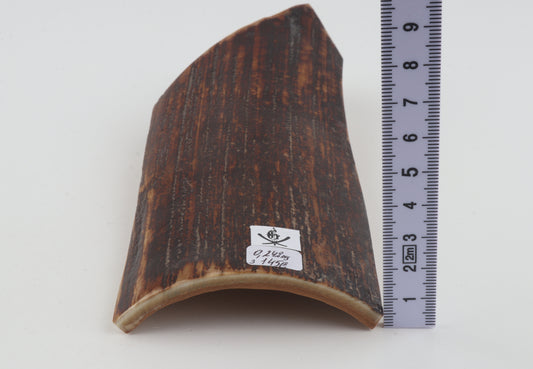 Brown-red mammoth bark