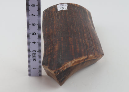 Brown-red mammoth bark
