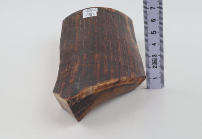 Brown-red mammoth bark