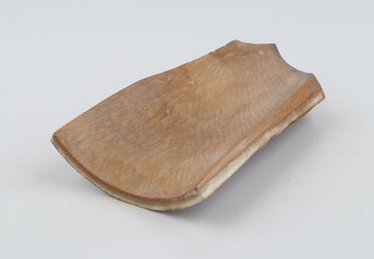 Brown-red mammoth bark