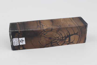 Stabilized mammoth ivory block