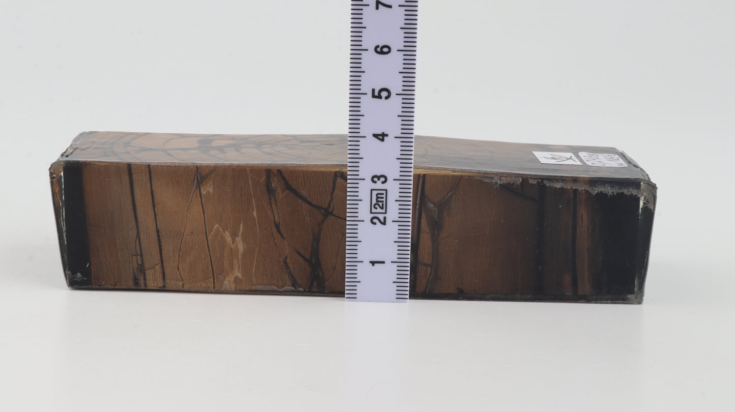 Stabilized mammoth ivory block