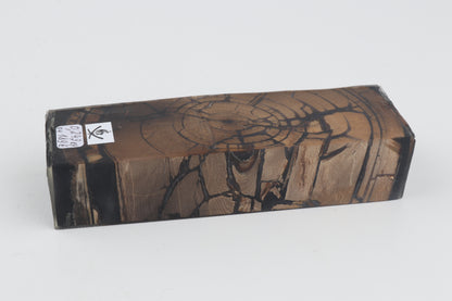 Stabilized mammoth ivory block