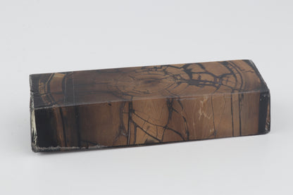 Stabilized mammoth ivory block