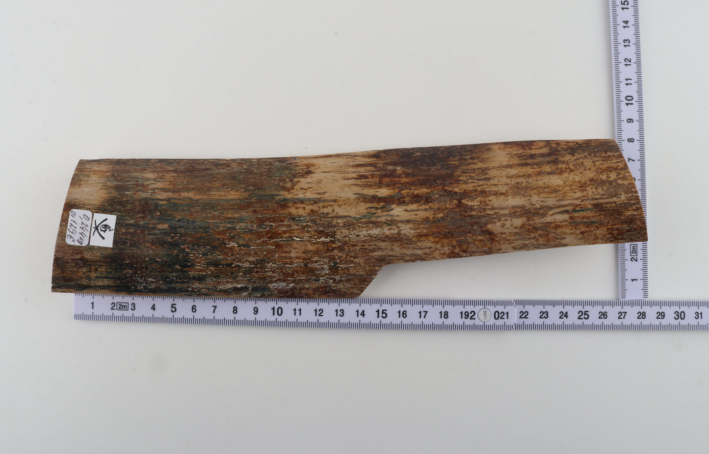 Natural mammoth bark