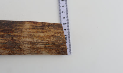 Natural mammoth bark