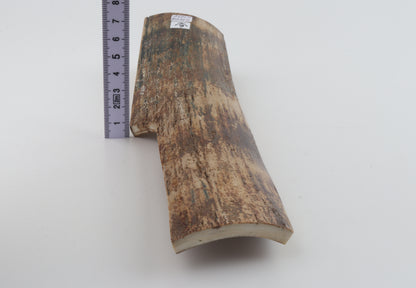 Natural mammoth bark