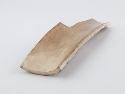 Natural mammoth bark