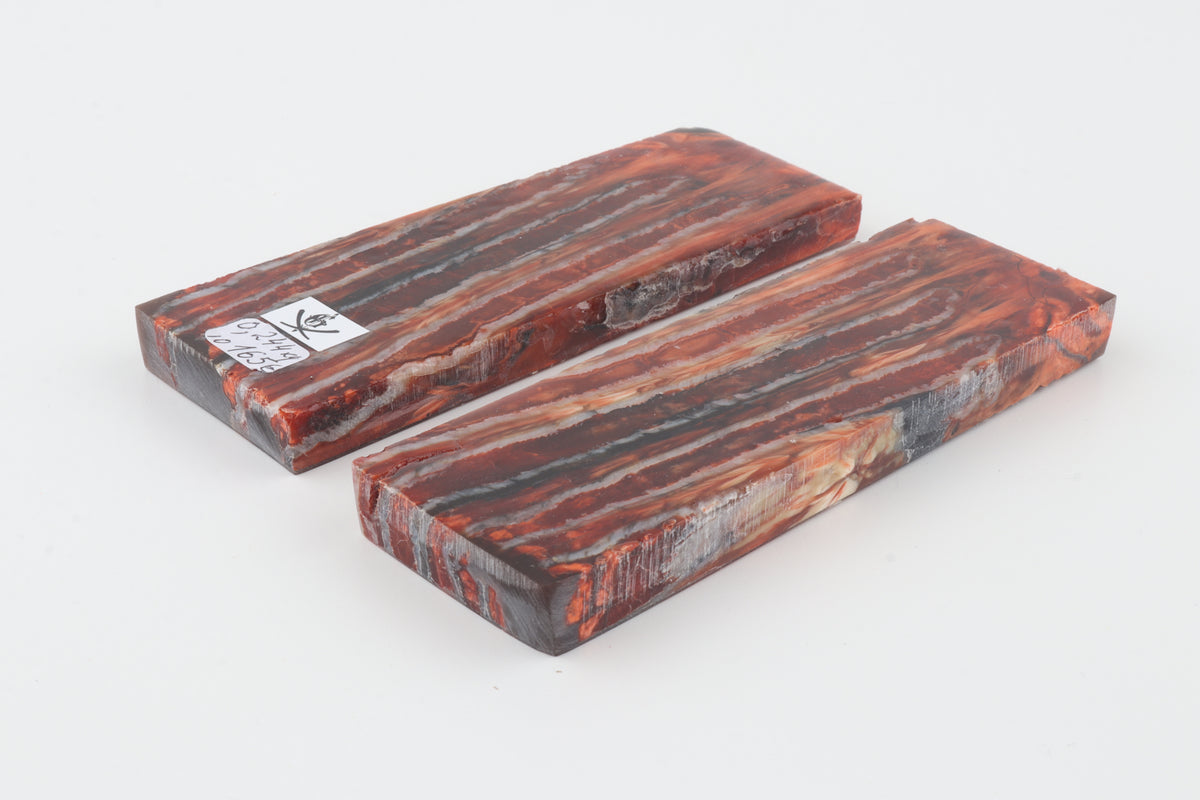 Stabilized mammoth molar scales