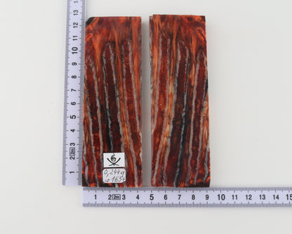 Stabilized mammoth molar scales