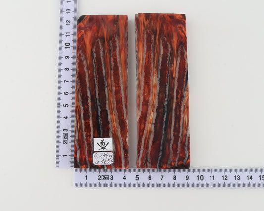 Stabilized mammoth molar scales