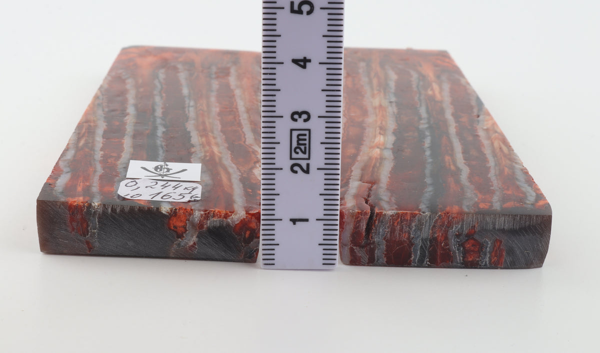Stabilized mammoth molar scales