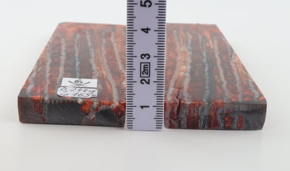 Stabilized mammoth molar scales