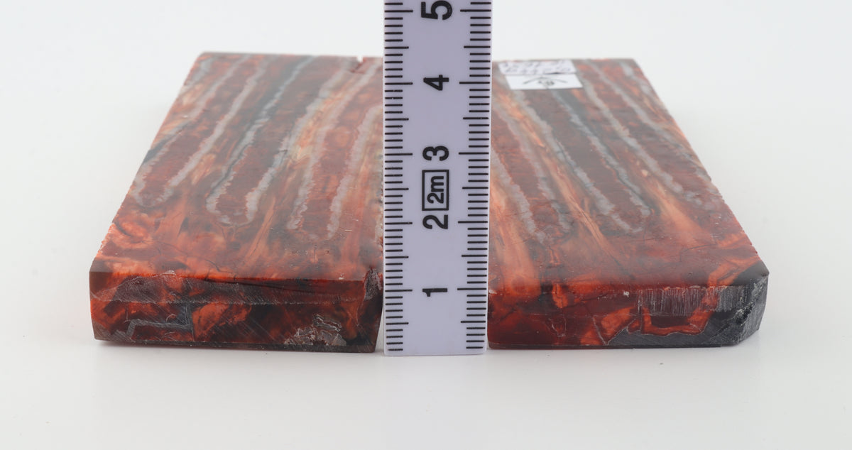 Stabilized mammoth molar scales