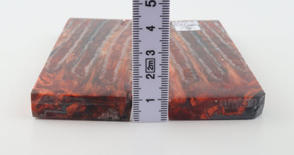 Stabilized mammoth molar scales