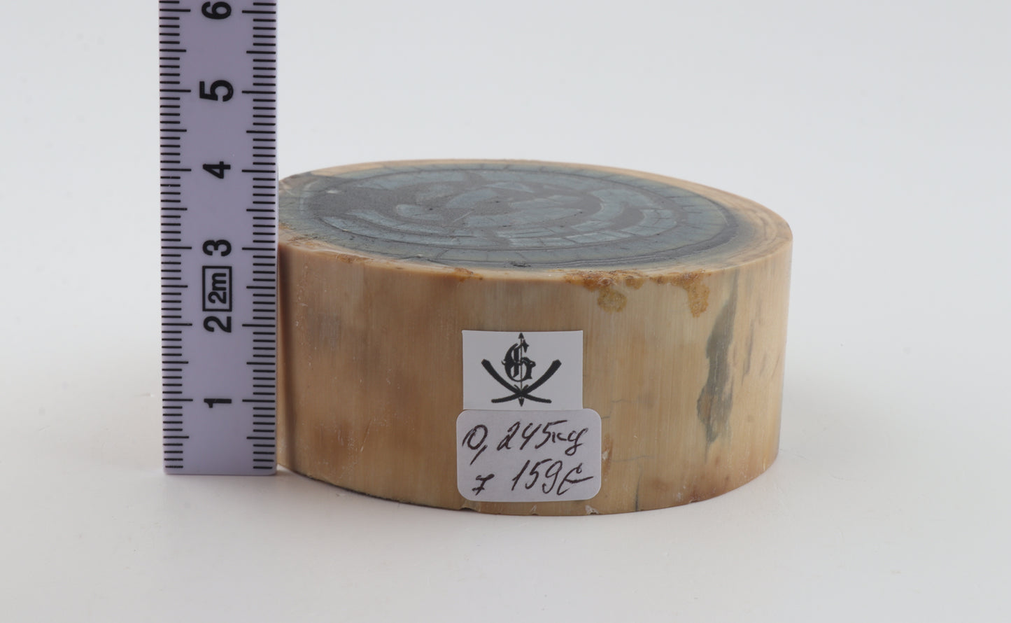 Stabilized mammoth ivory piece