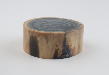 Stabilized mammoth ivory piece