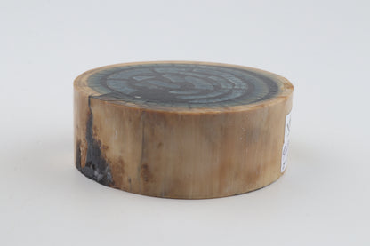 Stabilized mammoth ivory piece