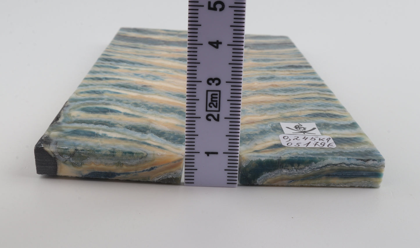 Stabilised mammoth molar scales