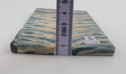 Stabilised mammoth molar scales