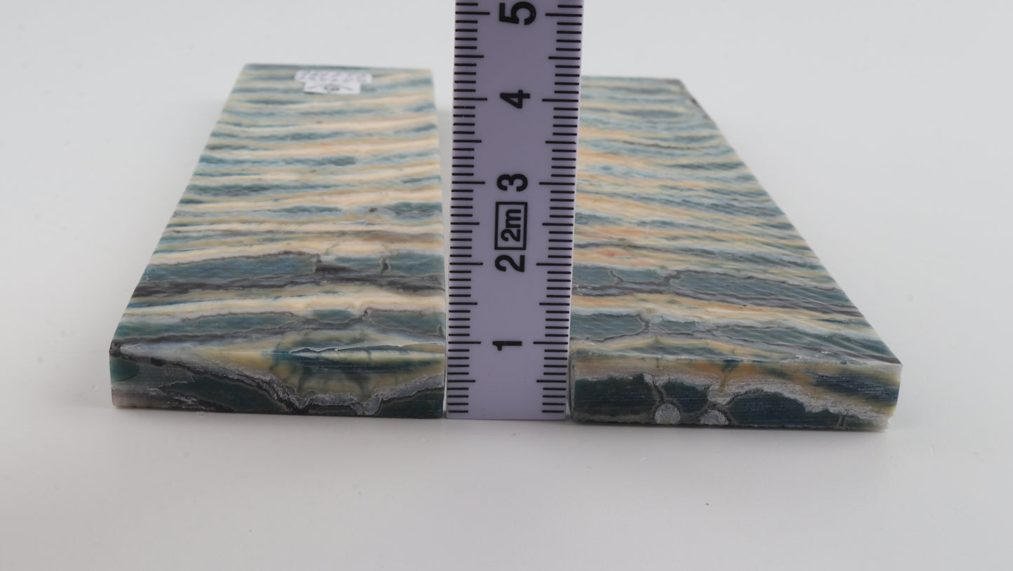 Stabilised mammoth molar scales