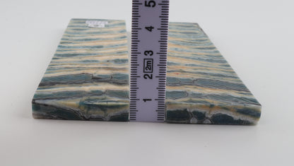 Stabilised mammoth molar scales