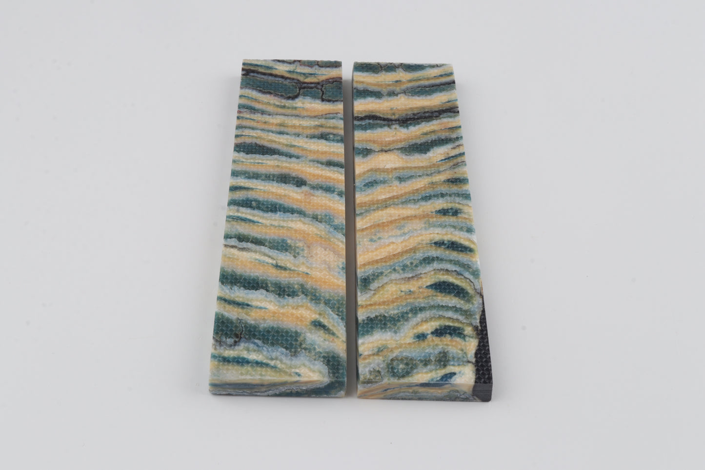 Stabilised mammoth molar scales