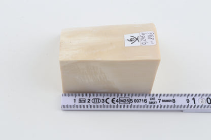 White mammoth ivory piece