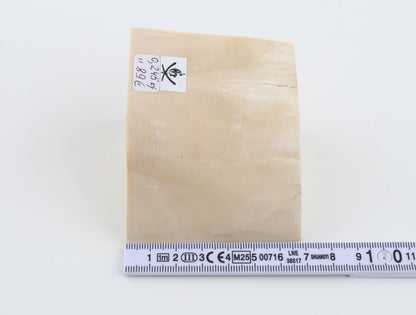 White mammoth ivory piece