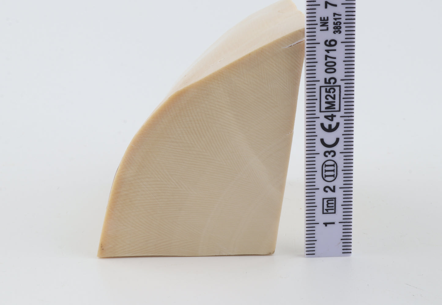 White mammoth ivory piece