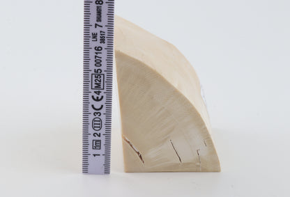 White mammoth ivory piece