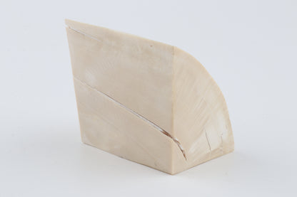 White mammoth ivory piece