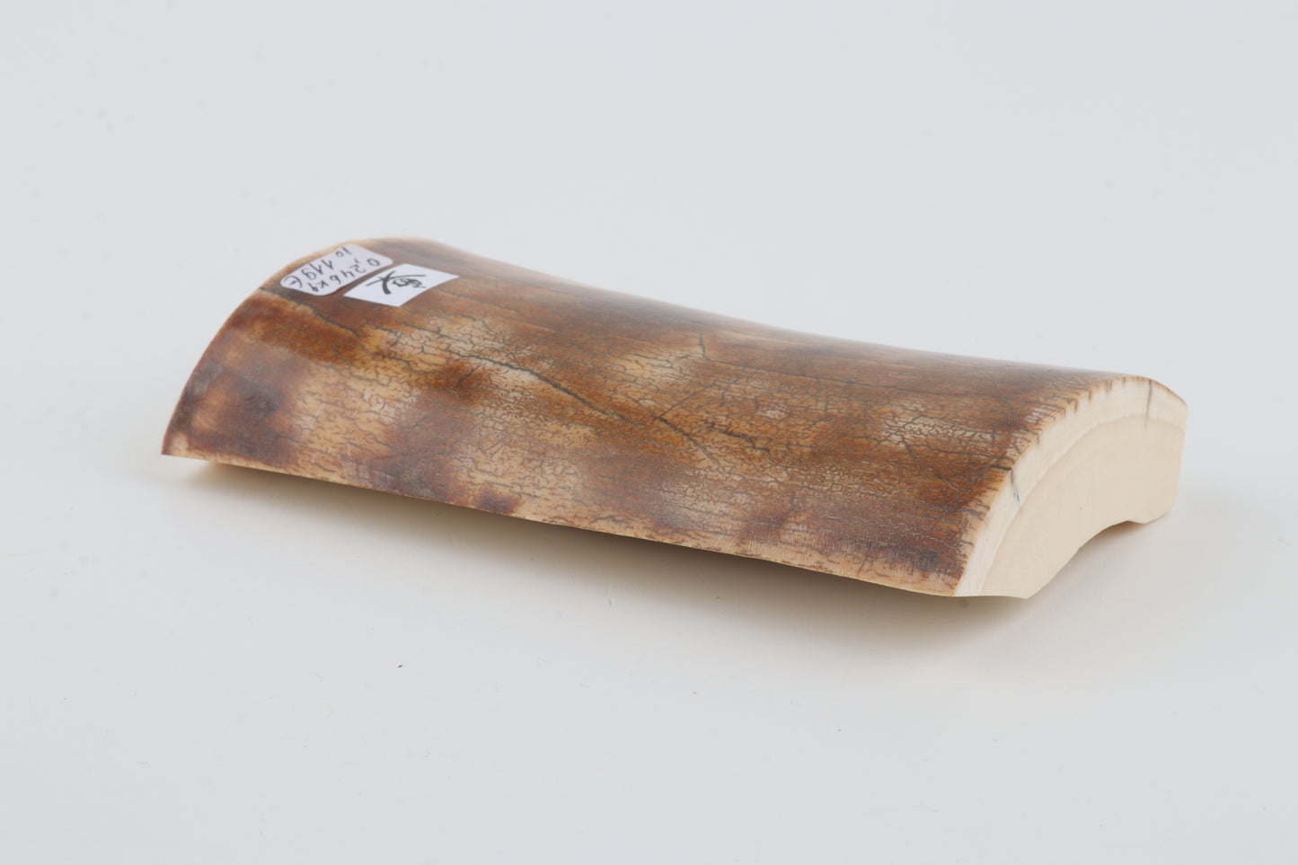 Natural woolly mammoth ivory piece