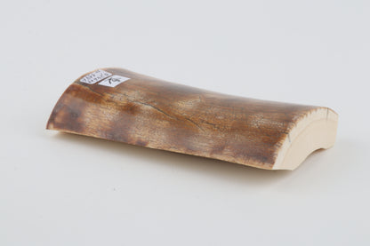 Natural woolly mammoth ivory piece