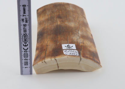 Natural woolly mammoth ivory piece