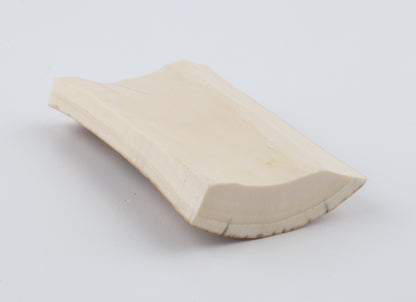 Natural woolly mammoth ivory piece