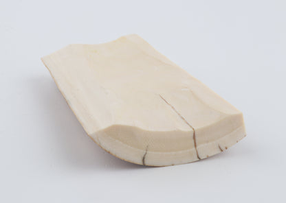Natural woolly mammoth ivory piece