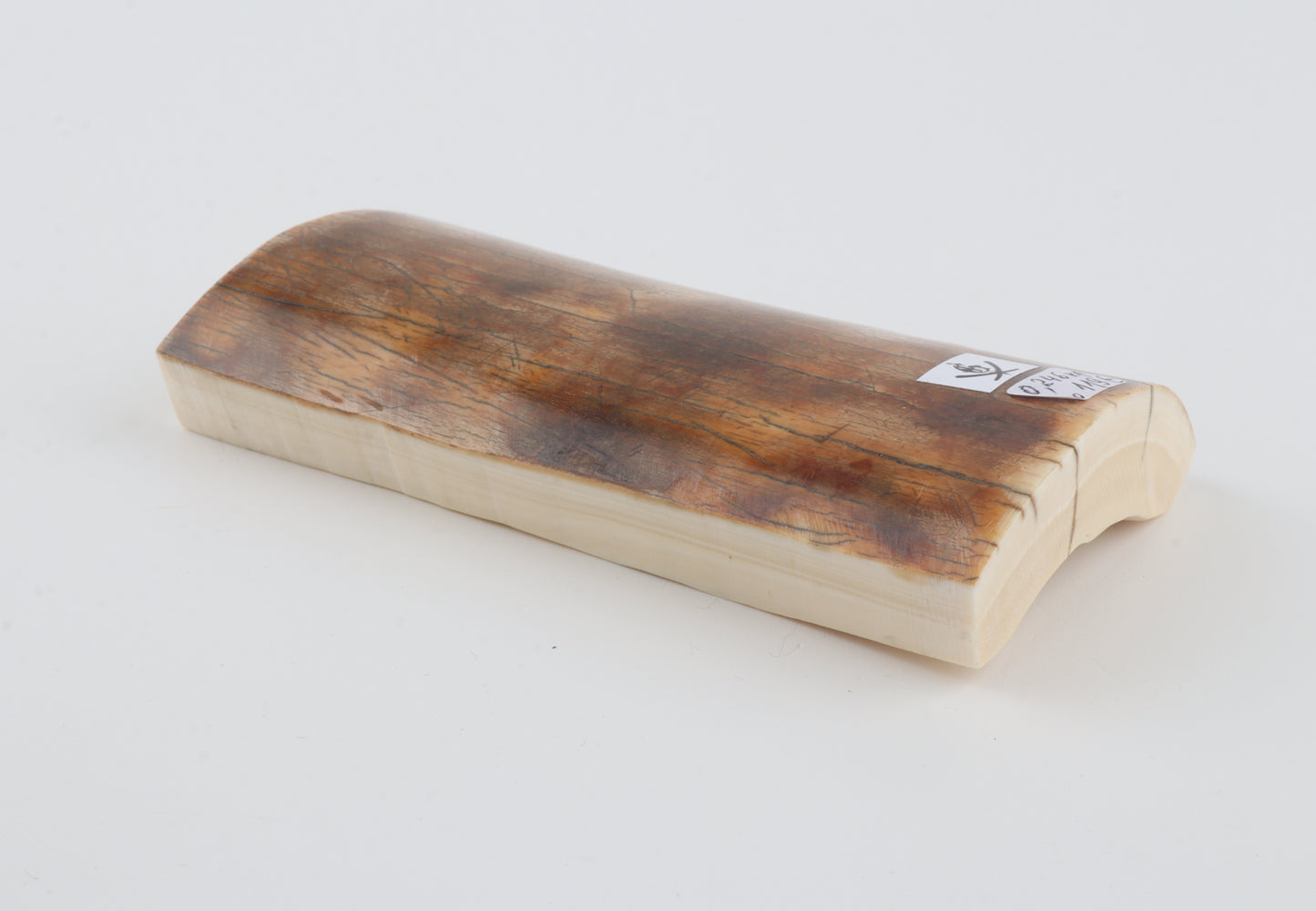 Natural woolly mammoth ivory piece