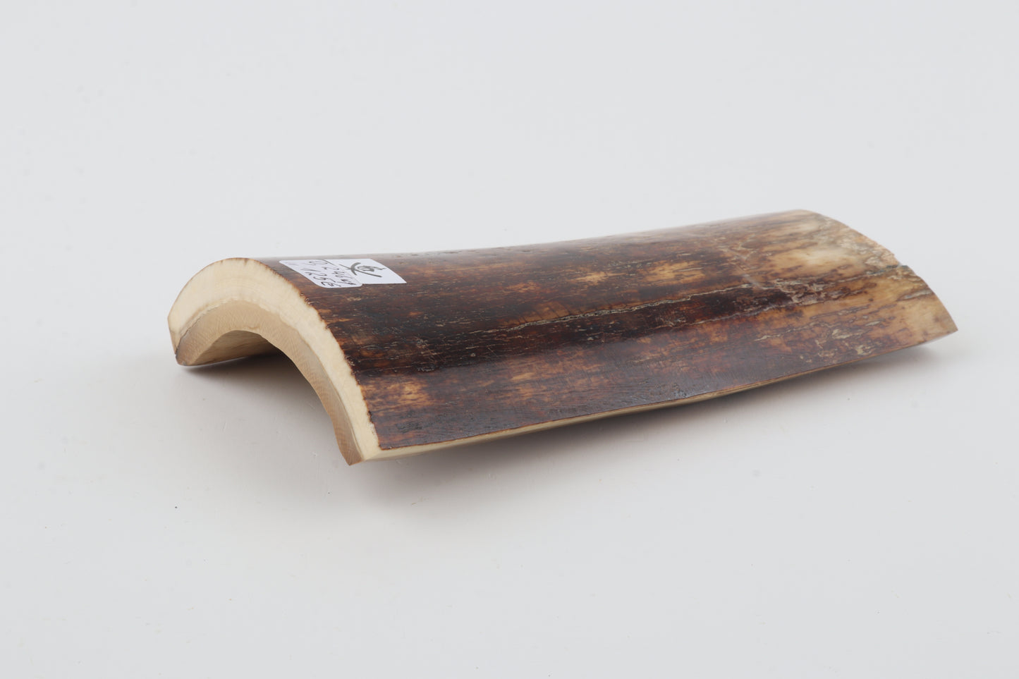 Brown-orange mammoth bark