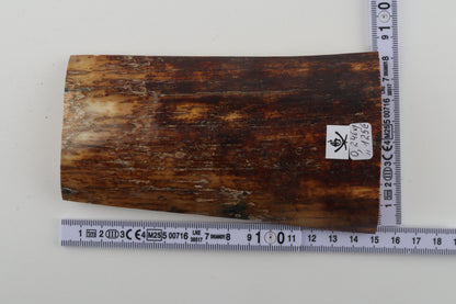 Brown-orange mammoth bark