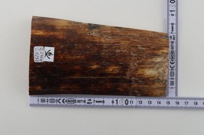 Brown-orange mammoth bark