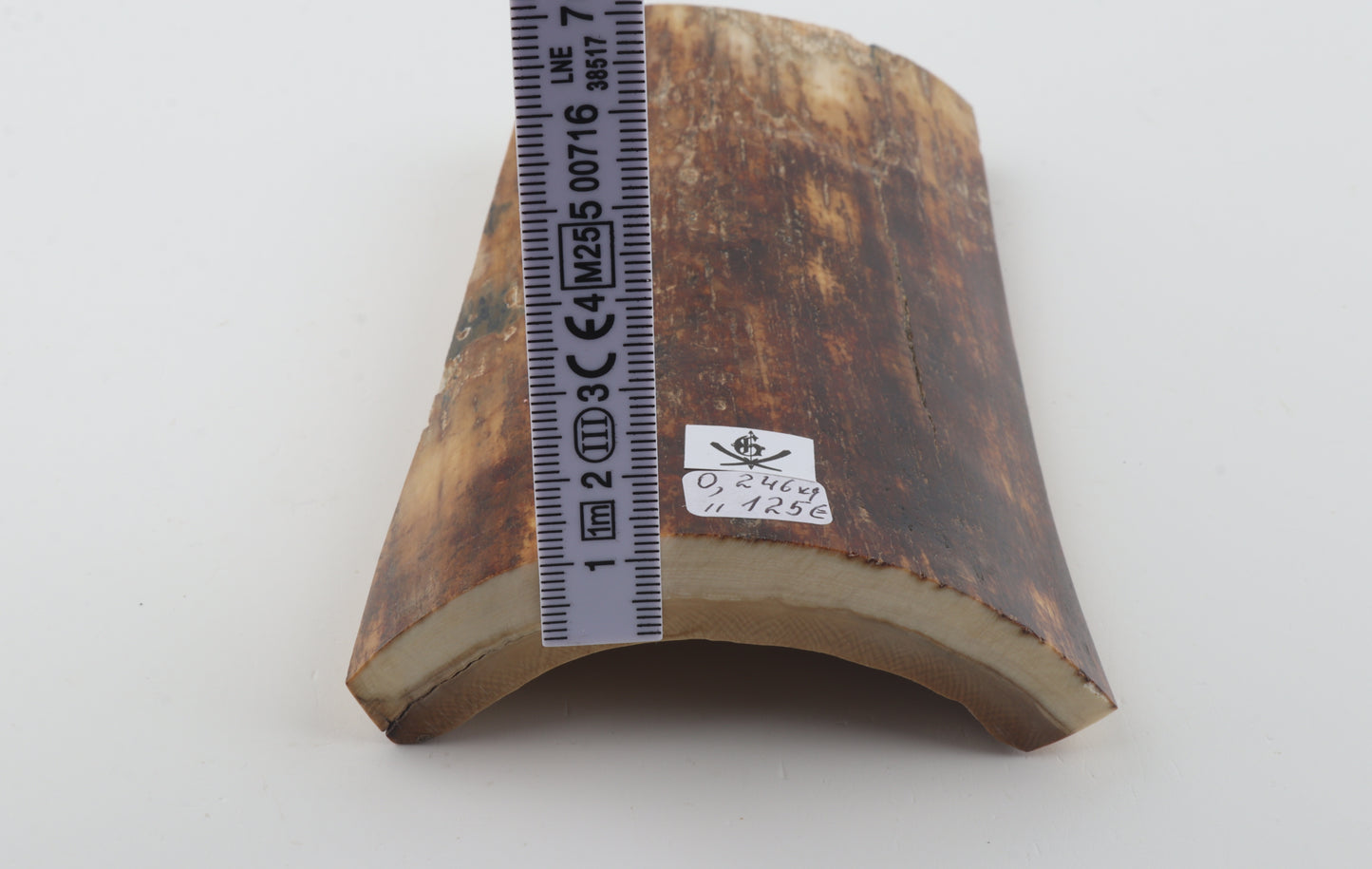 Brown-orange mammoth bark