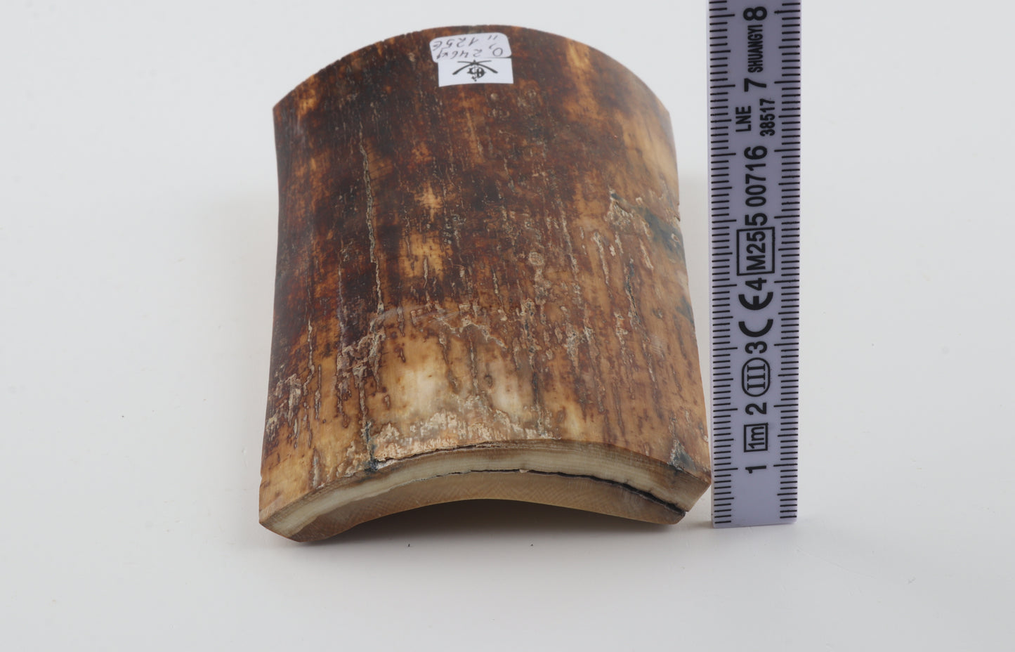 Brown-orange mammoth bark