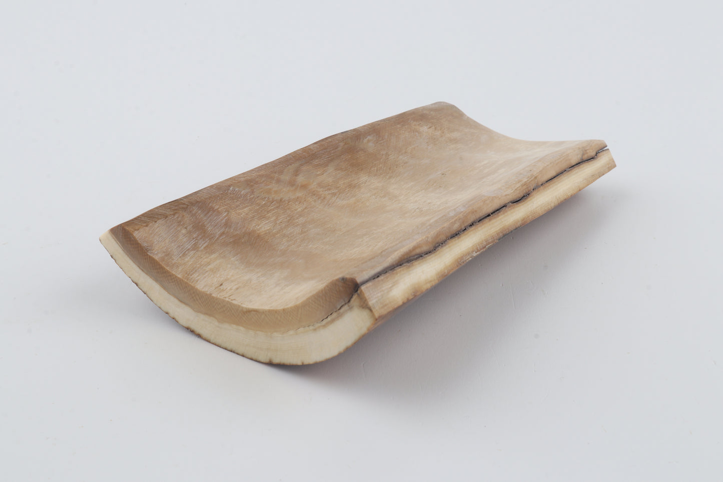 Brown-orange mammoth bark