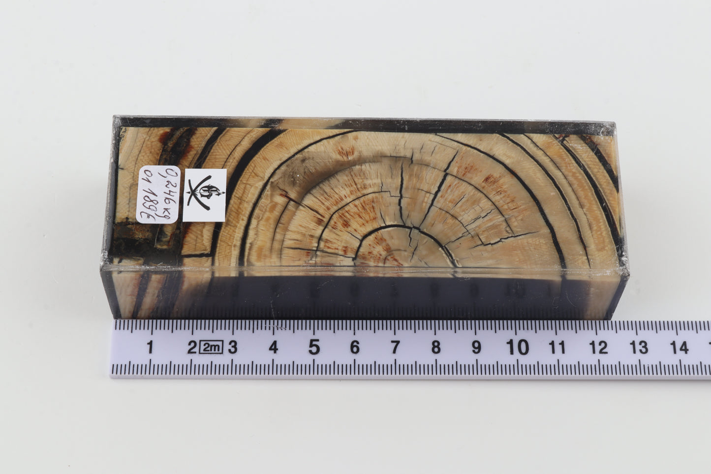 Stabilised mammoth ivory block