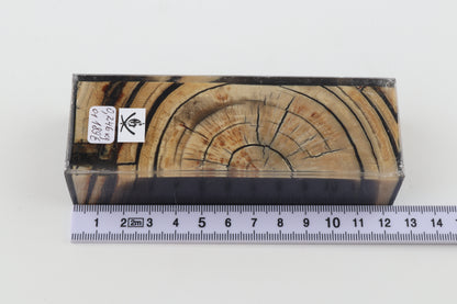 Stabilized mammoth ivory block