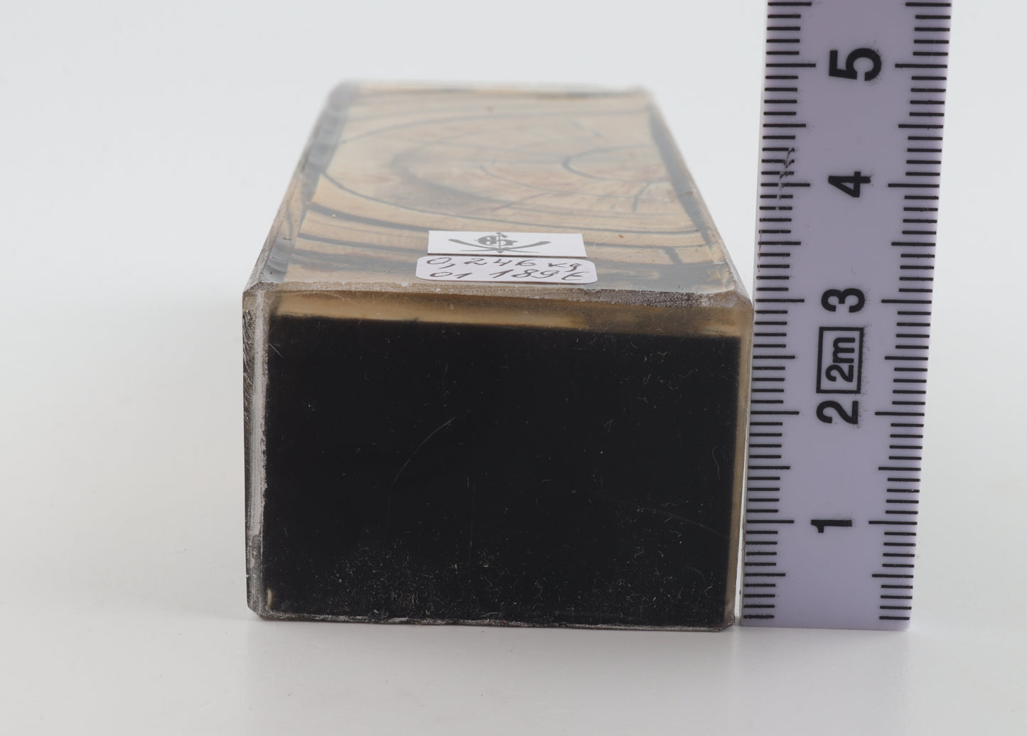 Stabilised mammoth ivory block